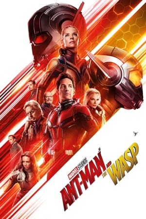 Ant Man and the Wasp (2018) Hindi (Org) Dual Audio 720p BluRay [1.1GB] - Movierulz