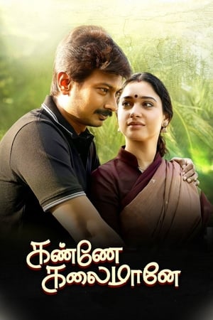 Kanne Kalaimaane 2019 (Hindi - Tamil) Dual Audio 480p UnCut HDRip 450MB - Movierulz