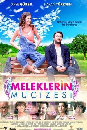 Meleklerin mucizesi (2014) Hindi Dual Audio 480p Web-DL 280MB - Movierulz