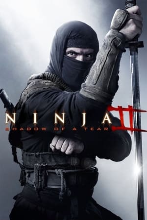 Ninja Shadow of a Tear 2013 Hindi Dual Audio 480p BluRay 300MB - Movierulz