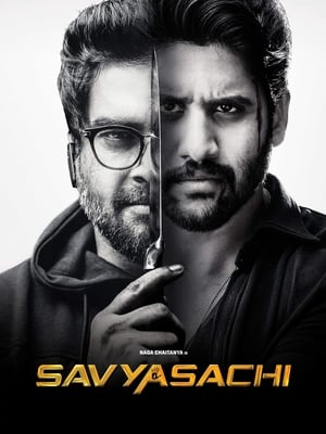 Savyasachi (2018) Hindi Dual Audio 480p UnCut HDRip 450MB - Movierulz
