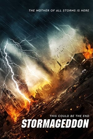 Stormageddon (2015) Hindi Dual Audio 480p BluRay 290MB - Movierulz