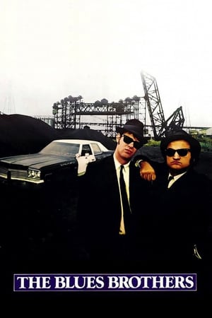 The Blues Brothers (1980) Hindi Dual Audio Movie 720p BluRay - 1.2GB - Movierulz