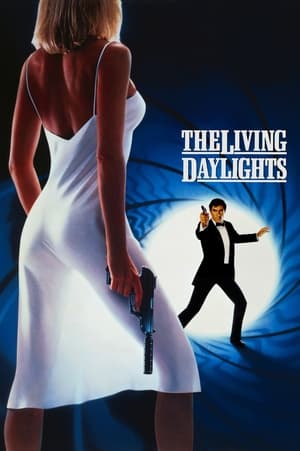 The Living Daylights (1987) Hindi Dual Audio 720p BluRay [1.1GB] - Movierulz